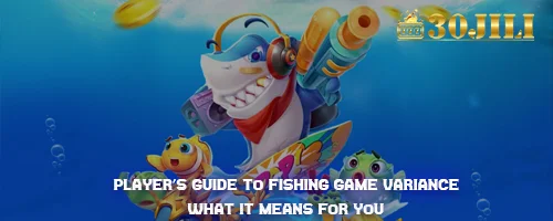 Player's Guide to Fishing Game Variance: What It Means for You